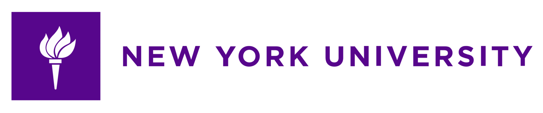 NY University